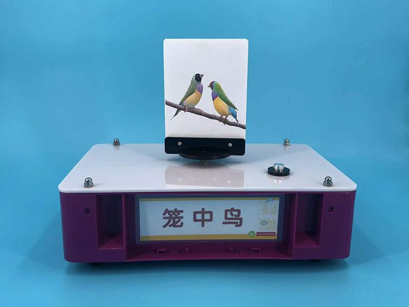 笼中鸟