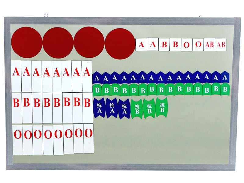 血型磁性演示块